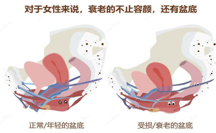 微信圖片_20230414083030.png